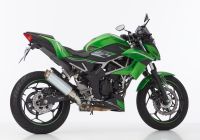 TEC One Slip on Ersatzdämpfer Super Short - silber Auspuff für: KAWASAKI Ninja 125 BX125A, Z125 BR125K