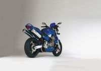 Rac 1 Slip on Ersatzdämpfer - silber Auspuff für: HONDA CB900 Hornet SC48