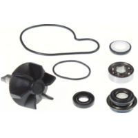 Water pump 100110260