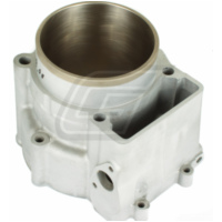 Cylinder for: Husqvarna 610 marked 79999 new coated in exchange