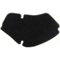 Air filter 100600440