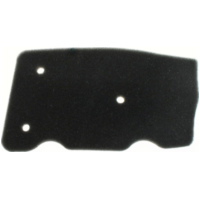 Air filter 100600830