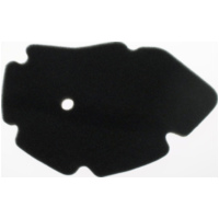 Air filter 100600880