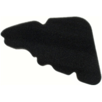 Air filter 100600910