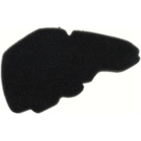 Air filter 100600980