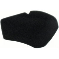 Air filter 100601230