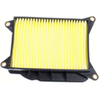Air filter 100602350
