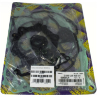 Gasket set / 666A600FL/A