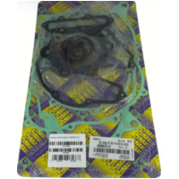 motor gasket set / 666A601FL/A