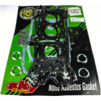 Motor gasket set 1018060