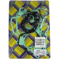 motor gasket set / 666A133FL