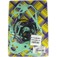 motor gasket set / 666A256FL