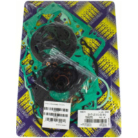 Motor gasket set / 731A127FL