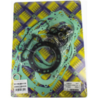 motor gasket kit / 411A651FL/A