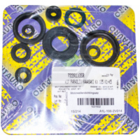 Centauro engine oil seal set / 722A133SR