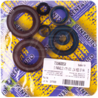 Centauro engine oil seal set 731A600SR