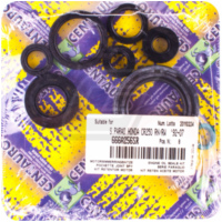 Centauro oil seal set / 666A256SR