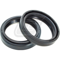 43x52,9x9/11,4 111A195FK fork shaft seal set