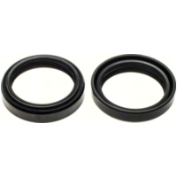 42x53,8x9,6/11,6 111A197FK fork shaft seal set