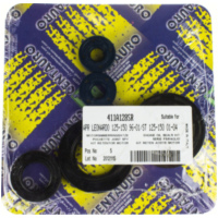 engine oil seal setLeonardo 125 / 411A128SR