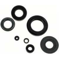 Engine oilseal set (6 pieces)