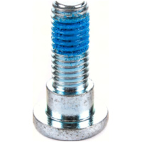 pan head screw M8 for brake disc with 10mm hole - Torx