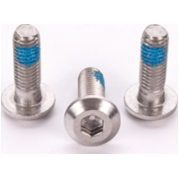 pan head screw M8x25/20 for brake disc - set of 3 pcs