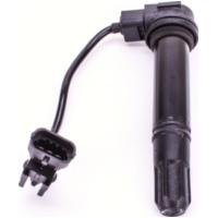 flush-fitting pencil ignition coil ZS377 for Benelli 899/1130 - compare no. 500033012000