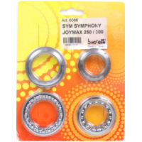 steering set for SYM GTS 250 Joymax