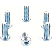 brake disc bolts MSW 102 BO M6x1,00 length 16mm (6 pcs.) for many for: Honda/Husaberg/Husqvarna offroad bikes