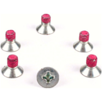 brake disc bolts MSS 110-6 M6x1,00 length (6 pcs.) for Kawasaki KX80/100 - KDX200