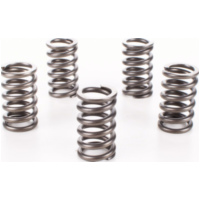 Clutch springs CSK078 for Suzuki TL 1000 S ´97/´98