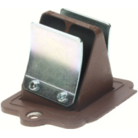 Reed valve cases scooter