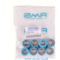 Variomatikgewichte, Variomatikrollen 21,44 Gr. Variatorrollenkit 25x17 8PZ