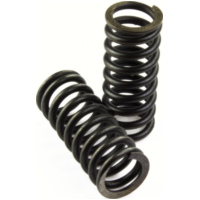 Vicma clutch springs