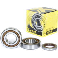 Kurbelwellenlager u. Dichtringset für KTM450+520+525+560