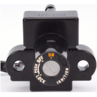 ignition switch 2571042