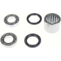 Swing arm bearing kit