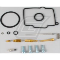 carburettor rebuild kit for RM250 '99