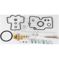 carburettor rebuild kit for WR250F '06-13