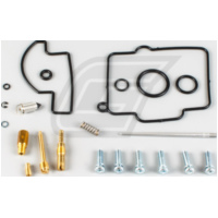 carburettor rebuild kit for YZ250 '00