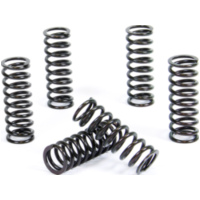 clutch spring kit for RM250 '06-12