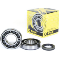 crankshaft bearing & seal kit for RM-Z250 '07-09