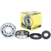 crankshaft bearing & seal kit for YZ250 '99-00