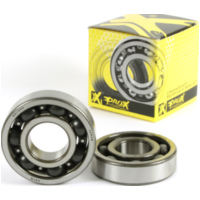 crankshaft bearing Kit for LT-R450 '06-11