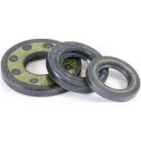 crankshaft seal set for Watercraft 500