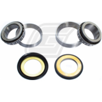 steering bearing for TTR90 '00-07