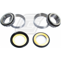 steering bearing for ZX900 Ninja ZX9R '00-03