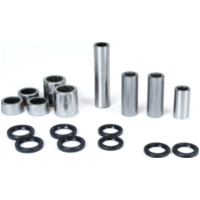 swingarm linkage bearing kit for CTX200