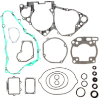 complete gasket kit for Suzuki RM250 '99-00